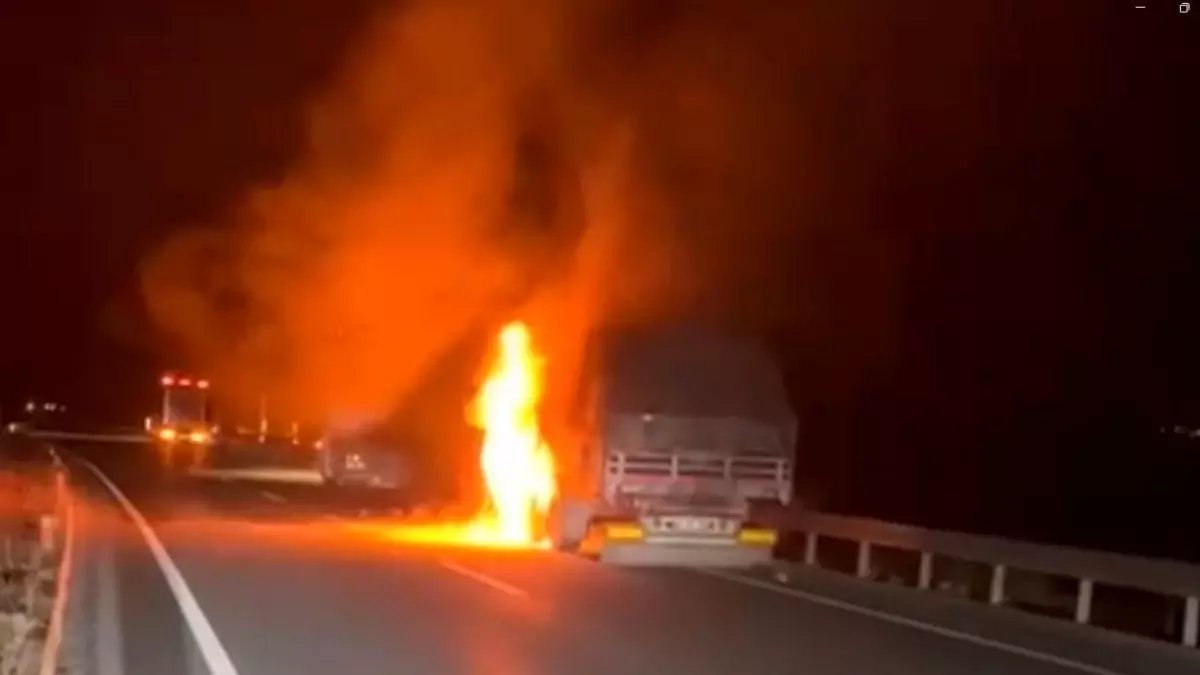 Erzincan'da seyir halindeki TIR alev aldı