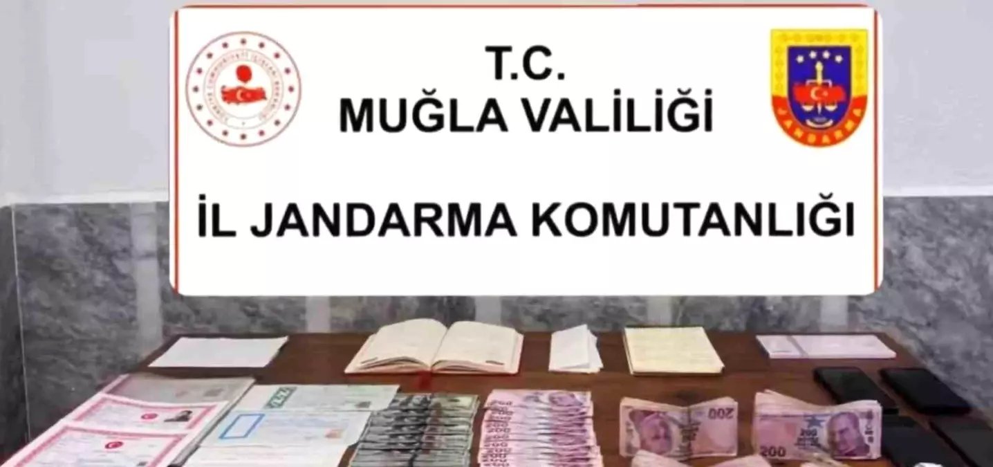 Muğla'da 'Tefecilik' operasyonu