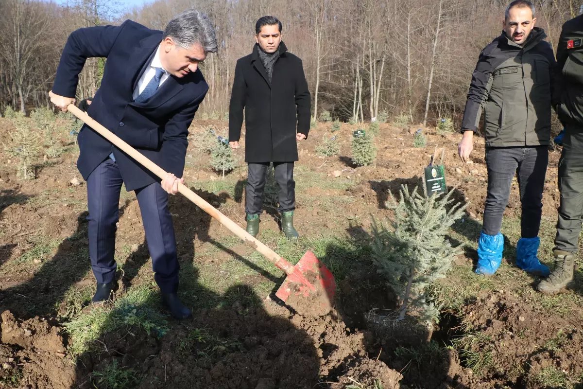 Bolu'daki yangın faciasında ölen 78 kişi için hatıra ormanı