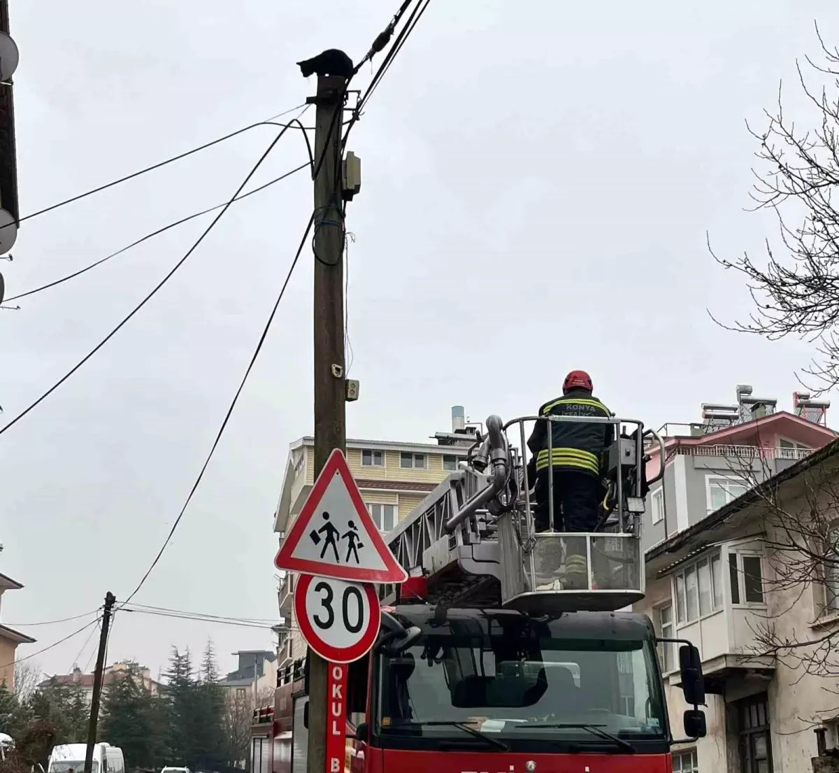 Beyşehir'de itfaiye merdiveni bu kez direğin tepesindeki kedi için uzatıldı