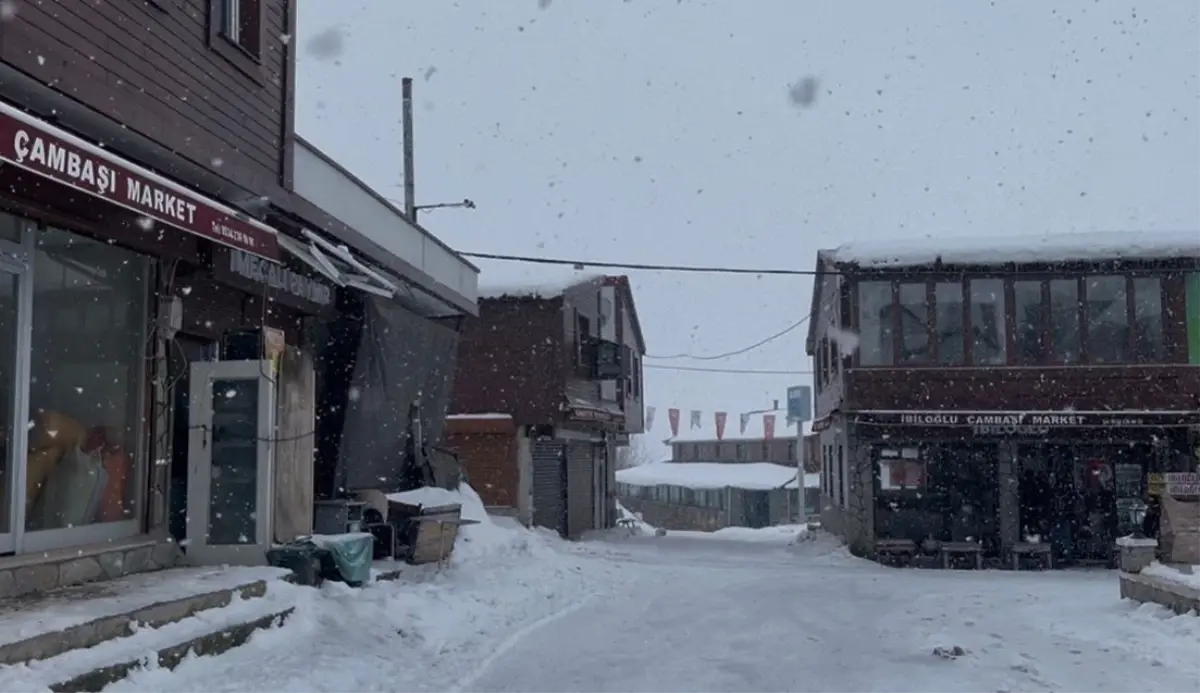 Ordu'nun yüksek kesimlerinde kar yağışı