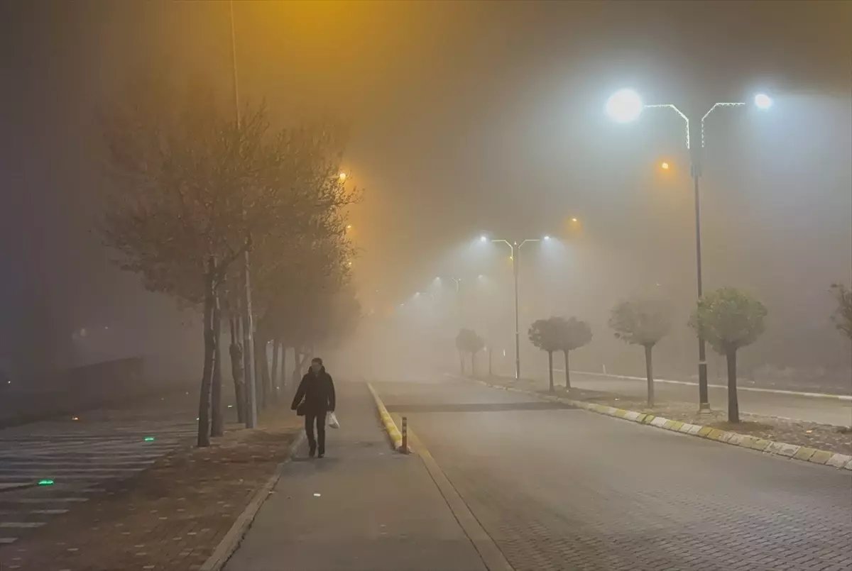 Isparta'da sis etkili oldu