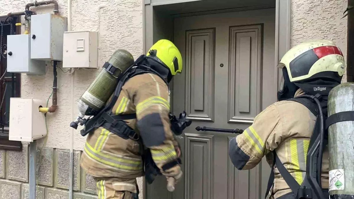 Bursa'da ev yangını: İtfaiyenin hızlı müdahalesiyle akvaryumdaki balıklar kurtarıldı