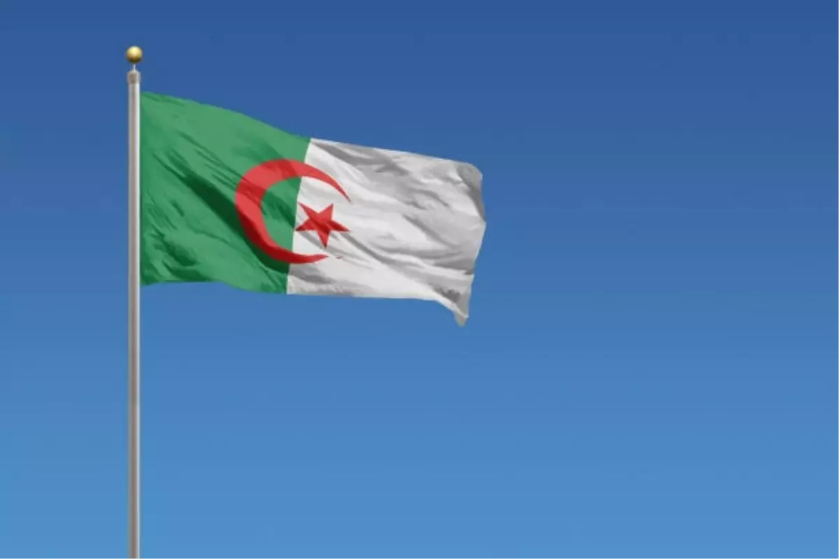 Cezayir'de Fransız sömürgeciliği suç ilan edildi