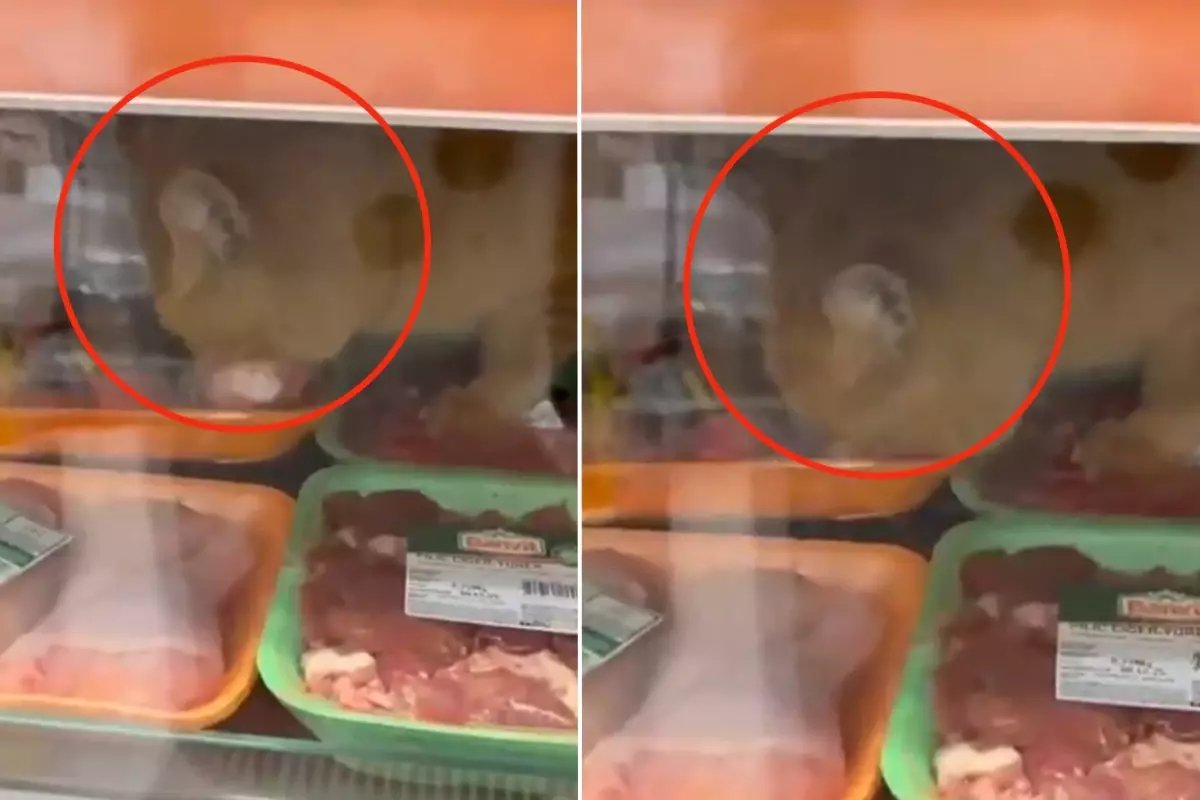 Zincir markette mide bulandıran skandal! Gören hemen kayda girdi