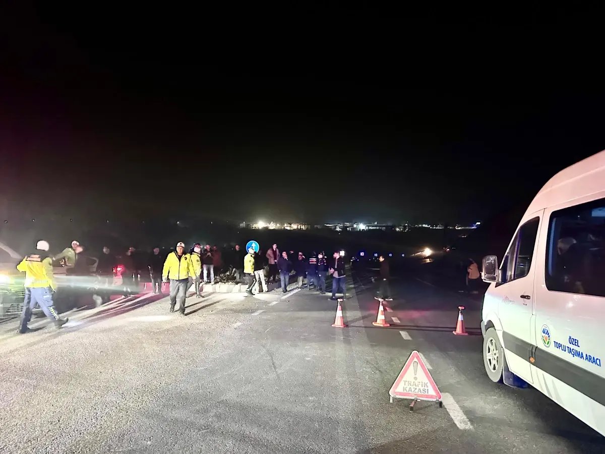 Malatya'da kaçan yarış tayları bulundu