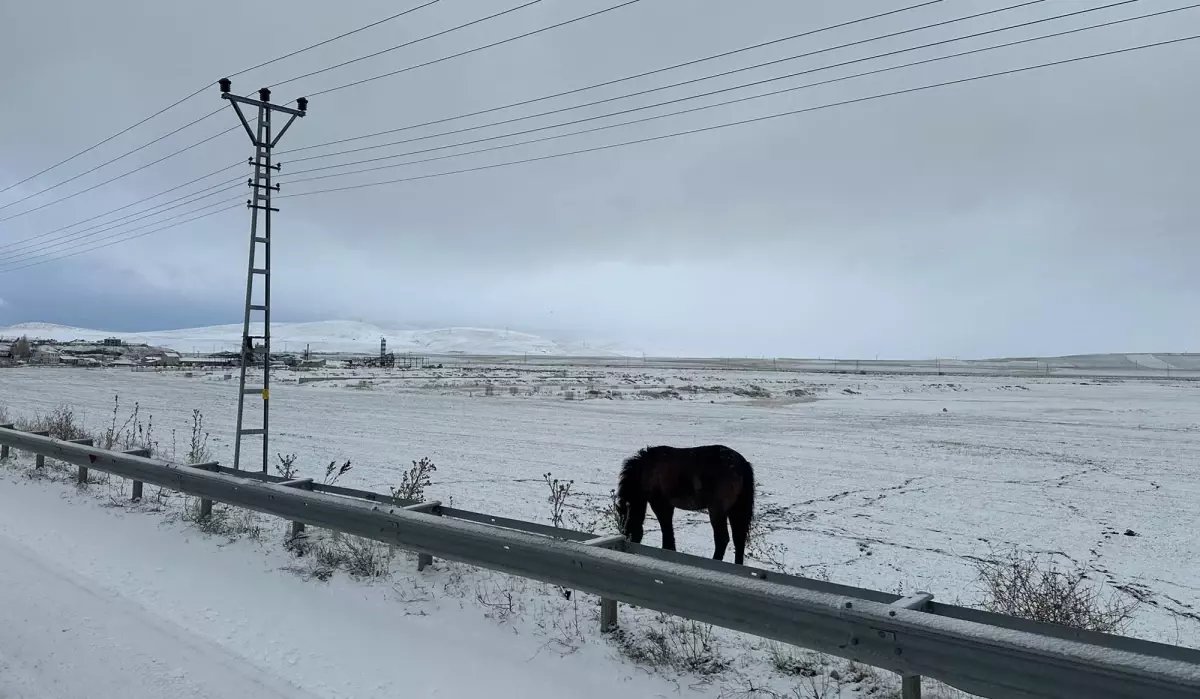 Ağrı'da kar yağışı