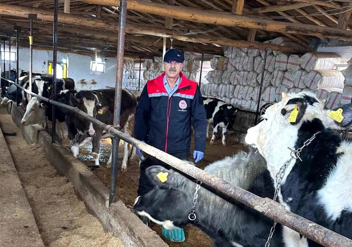 Beyşehir'de hayvancılık faaliyetleri yakın takipte