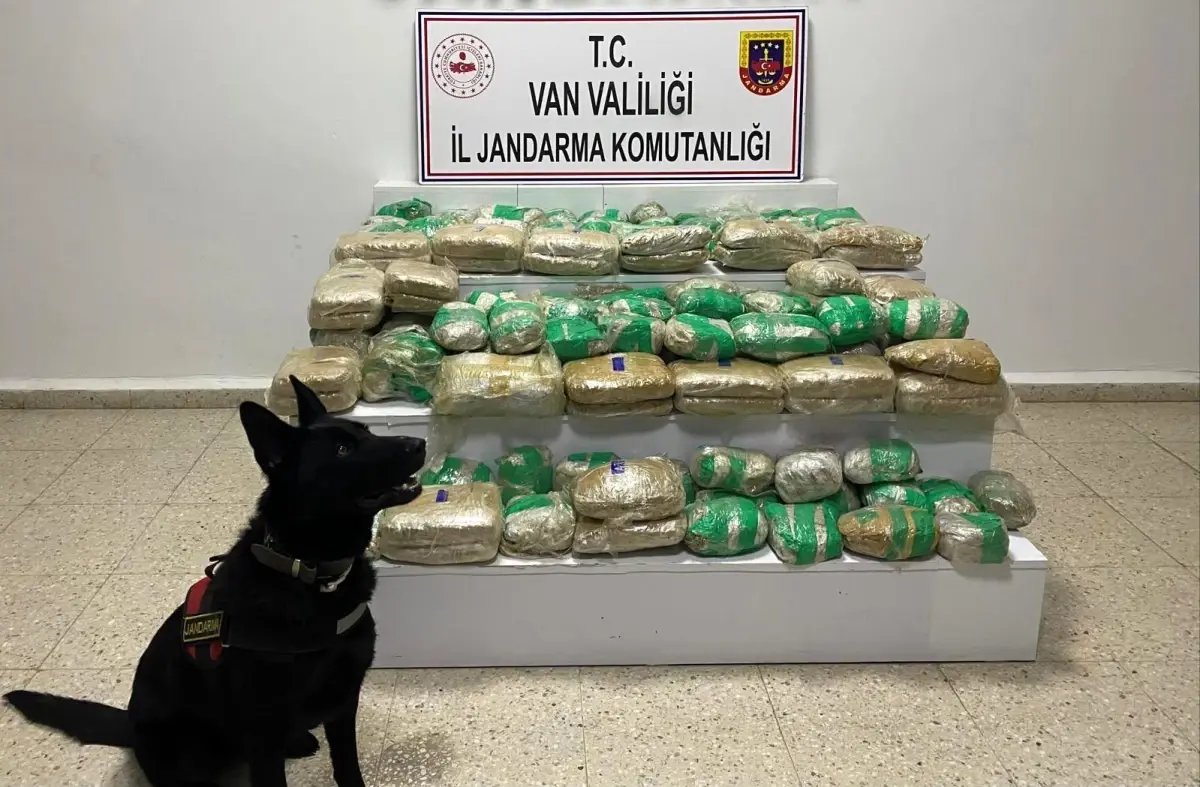 Van'da 51 kilo skunk ele geçirildi