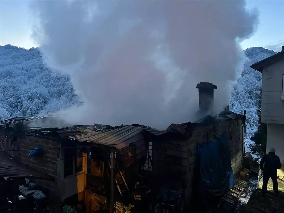 Rize'de çıkan yangında 2 ev kullanılamaz hale geldi