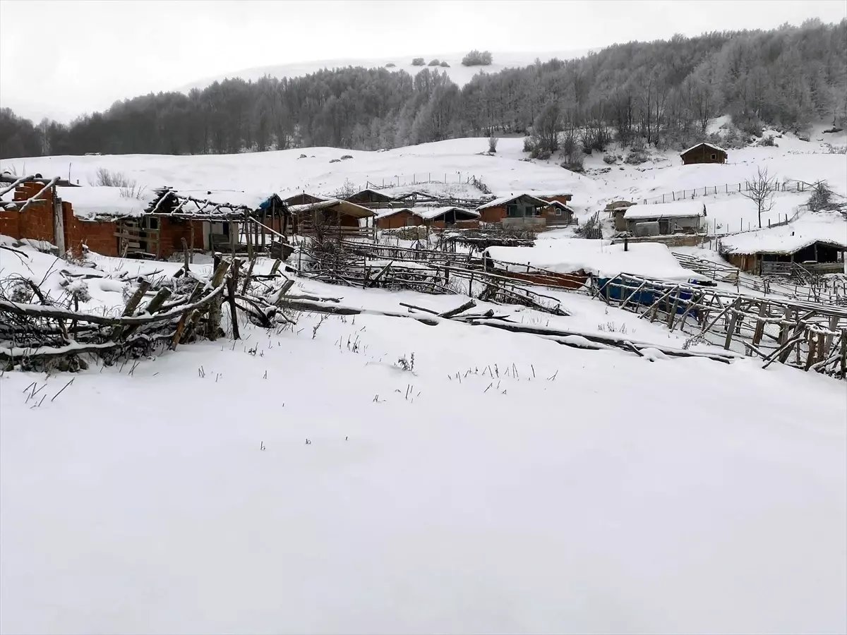 Amasya'nın yüksek kesimlerinde kar yağışı etkili oluyor