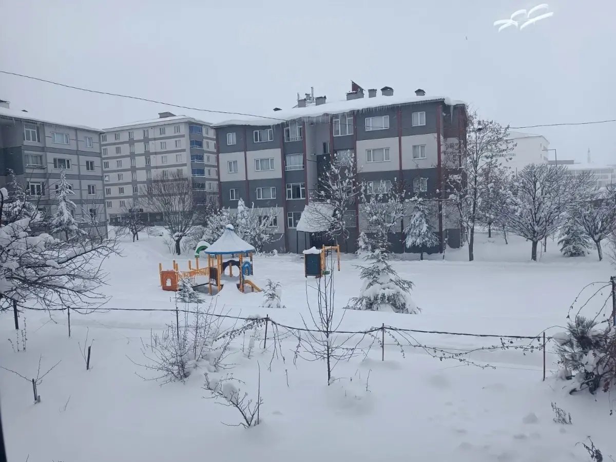 Bitlis'te 203 köy yolu açıldı