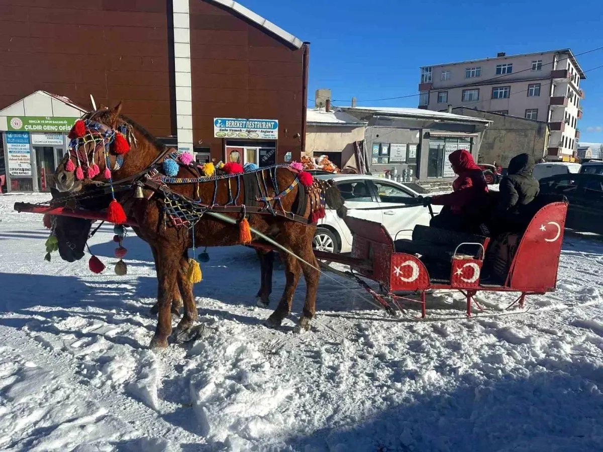 Atlı kızaklar donan göl için hazırlandı