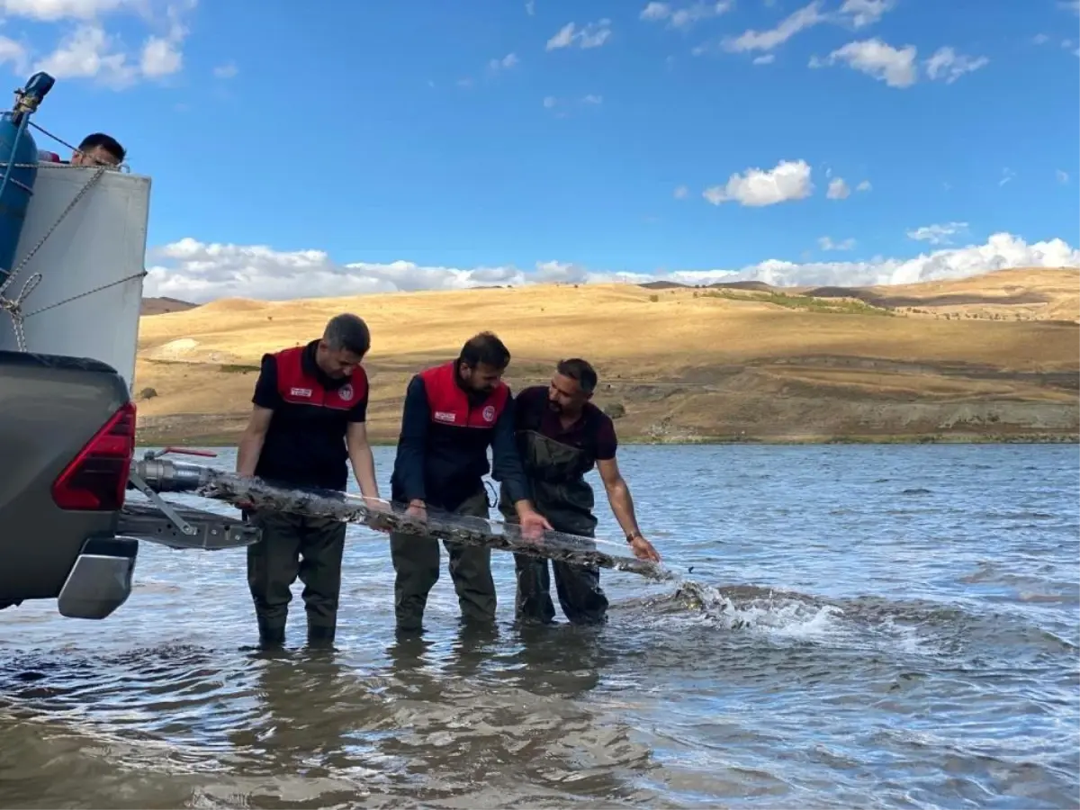 Türkiye nüfusu kadar balık deniz ve göllere bırakıldı