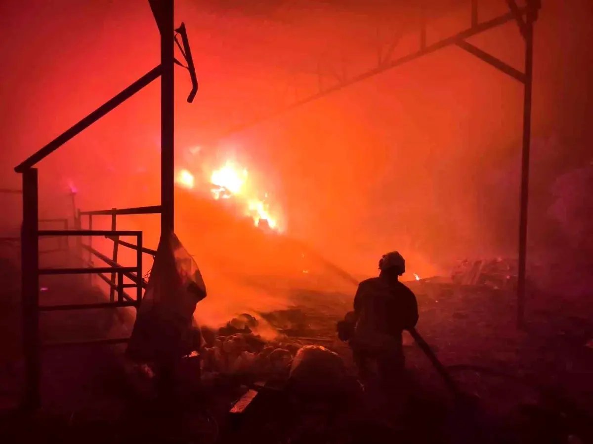 Samanlıktan yükselen alevler, besihaneye ulaşmadan kontrol altına alındı