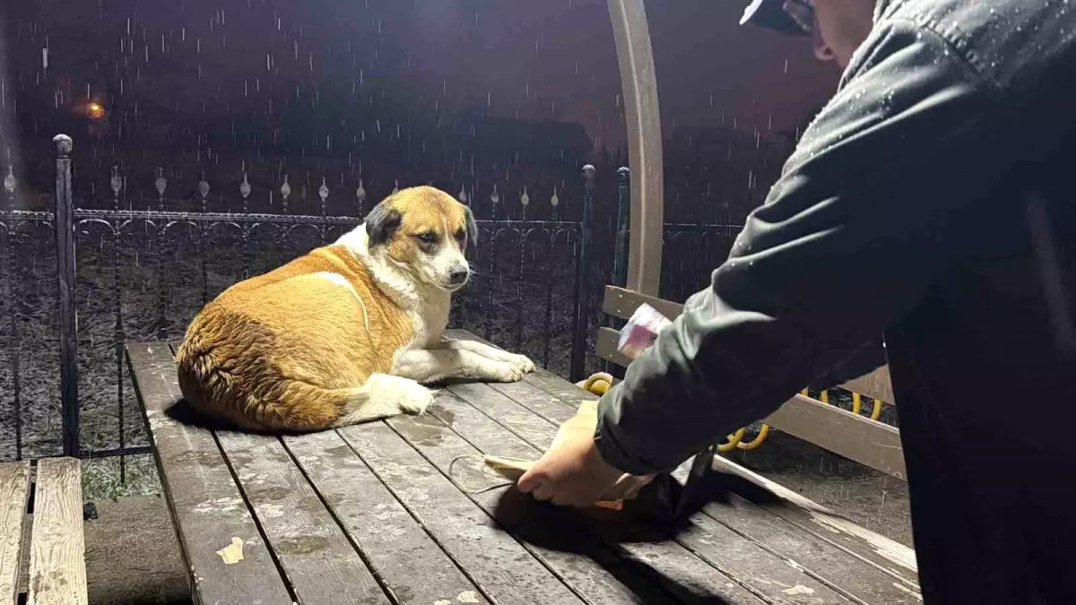 Gazetecilerden duyarlı davranış