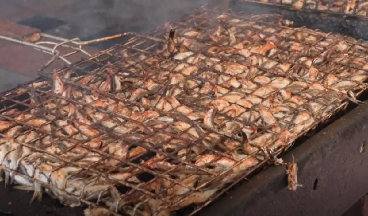 Sultanbeyli'de 2. Hamsi Festivali Coşkuyla Gerçekleşti