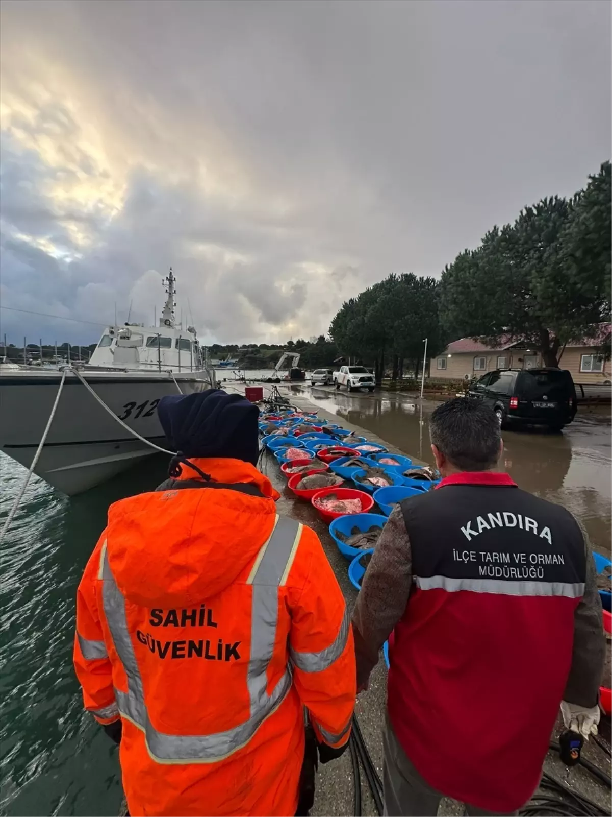 Kandıra'da kaçak avlanan 500 kalkan balığına el konuldu