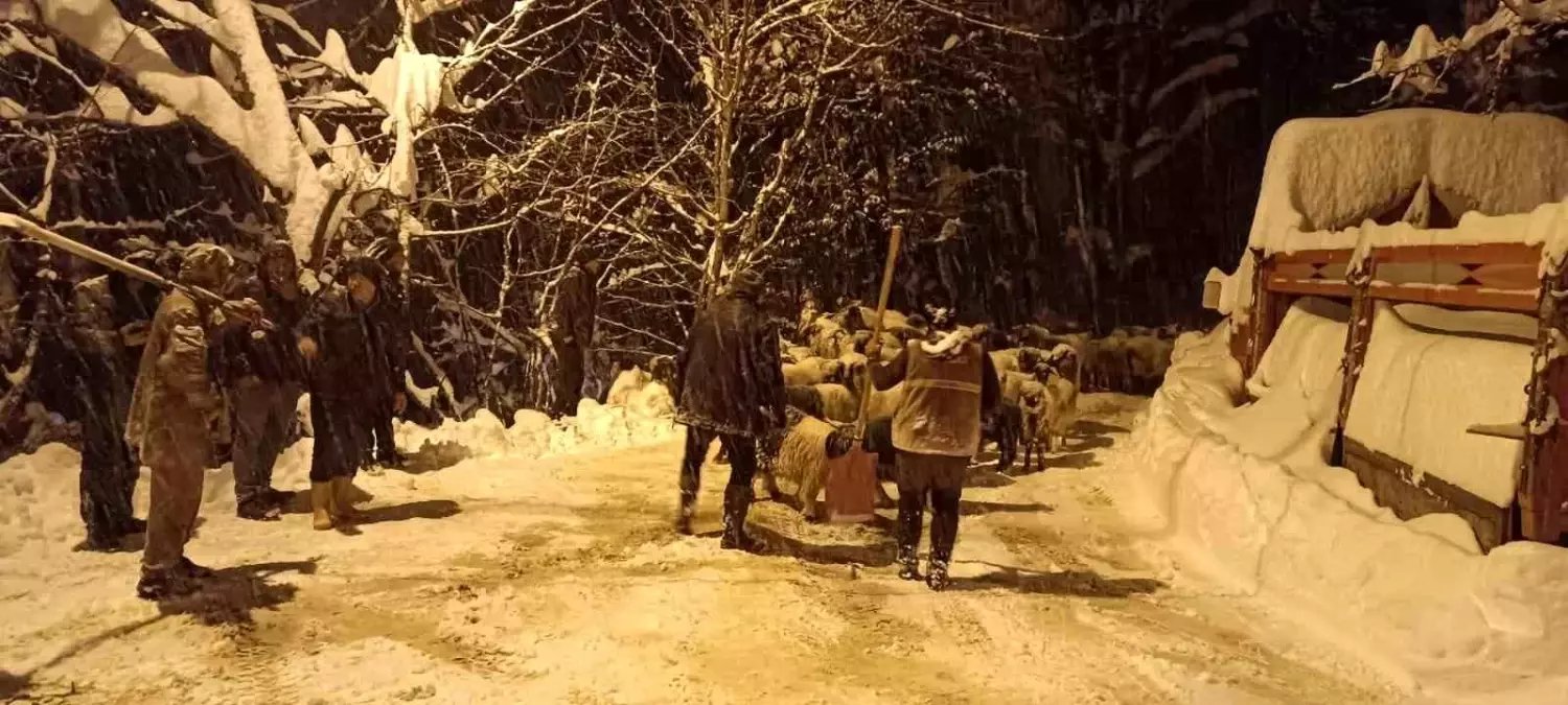 Giresun'da çığ: 1 ölü