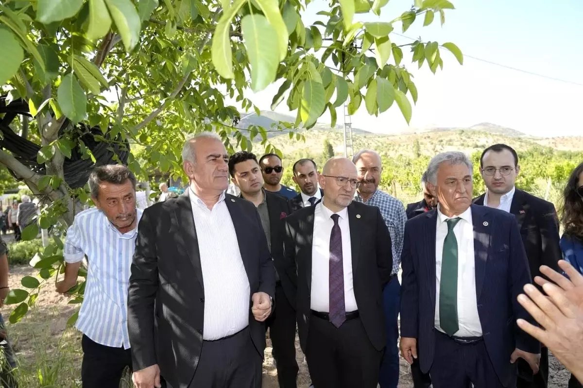 Trabzon hurması, dut ve incire destek ödemesi başladı