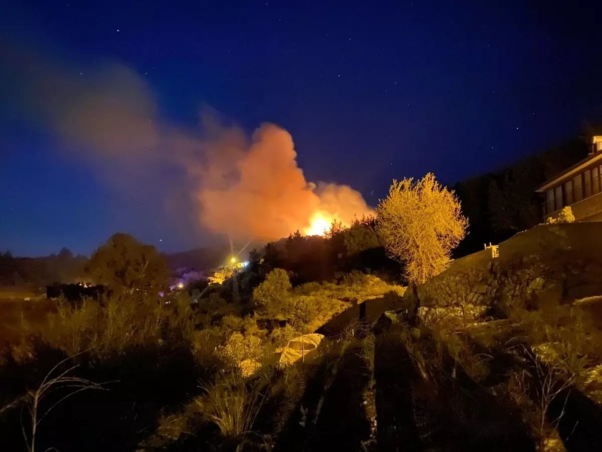 Antalya'da ormanlık alanda yangın çıktı