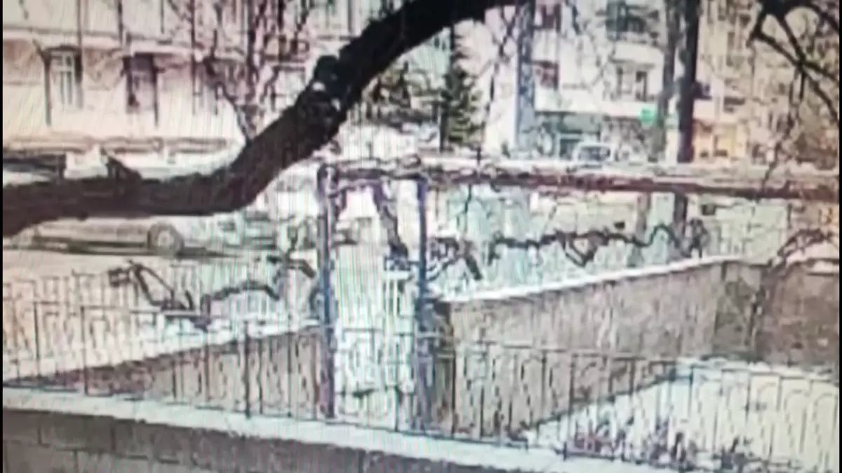 Eşiyle birlikte kazada yaralanan Fatma kurtarılamadı