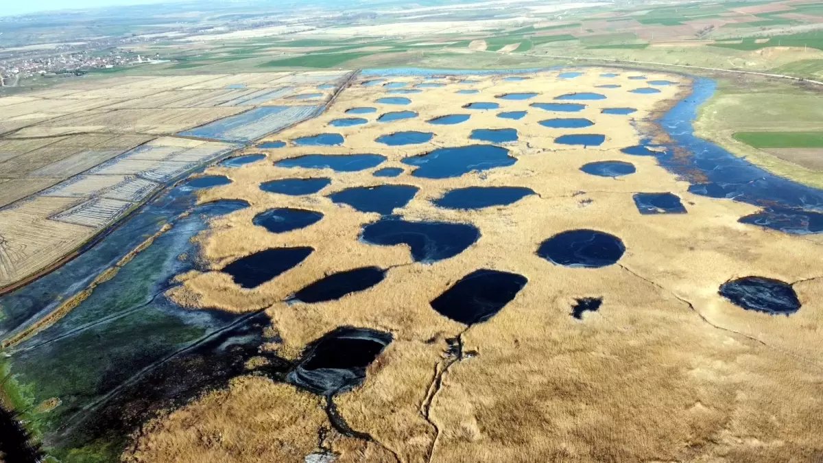 Sıcaklığın eksi 8 dereceye düştüğü Edirne'de, Tunca Nehri ve gölet buz tuttu