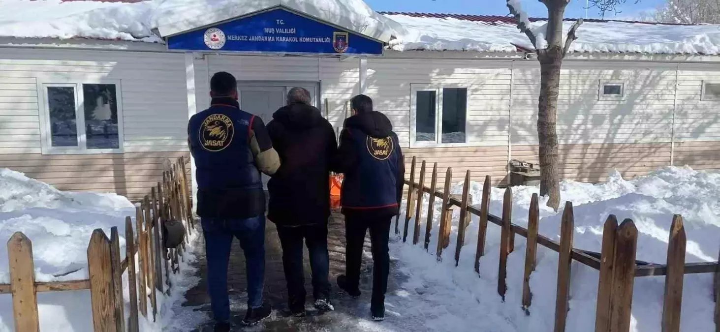 Muş'ta 4 yıl 2 ay hapis cezası bulunan şahıs yakalandı
