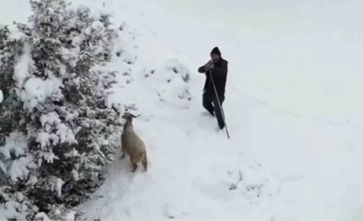 Dronuna tüfek doğrultulan fotoğrafçı: Ateş etse vurabilirdi
