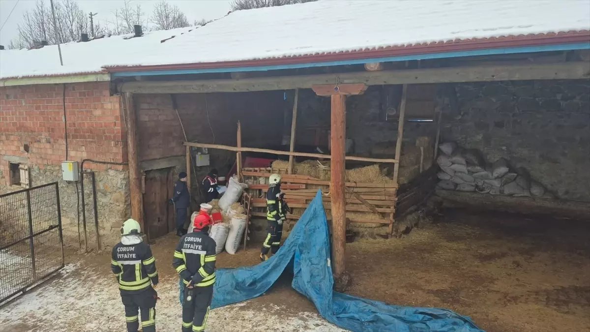 Çorum'da yem kırma makinesine düşen kişi hayatını kaybetti