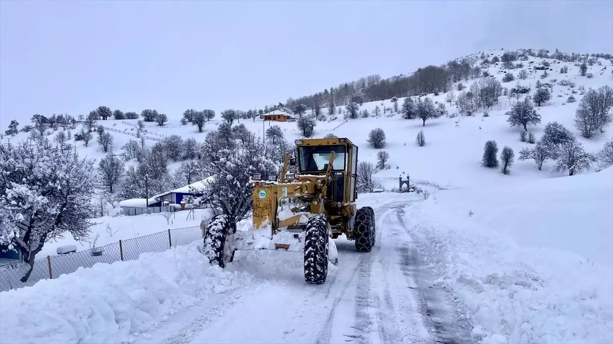 Giresun ve Gümüşhane'de 84 köy yolunda karla mücadele sürüyor
