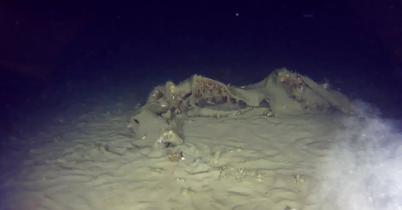 THY'nin 50 yıl önce düşen uçağının enkazından yeni parçalar bulundu