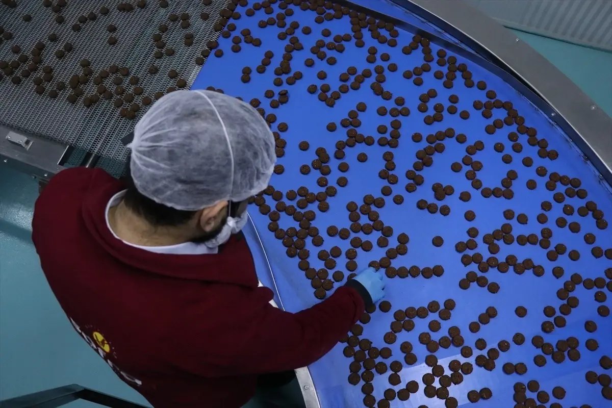 Devlet desteğiyle kurduğu fabrikada günde 100 bin paket glütensiz gıda üretiyor