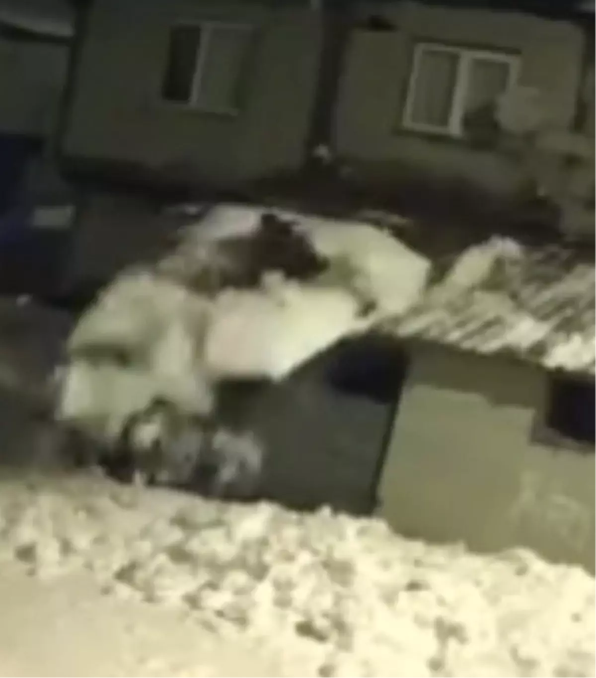 Kar kürerken çatıdan düştü; o anlar kamerada