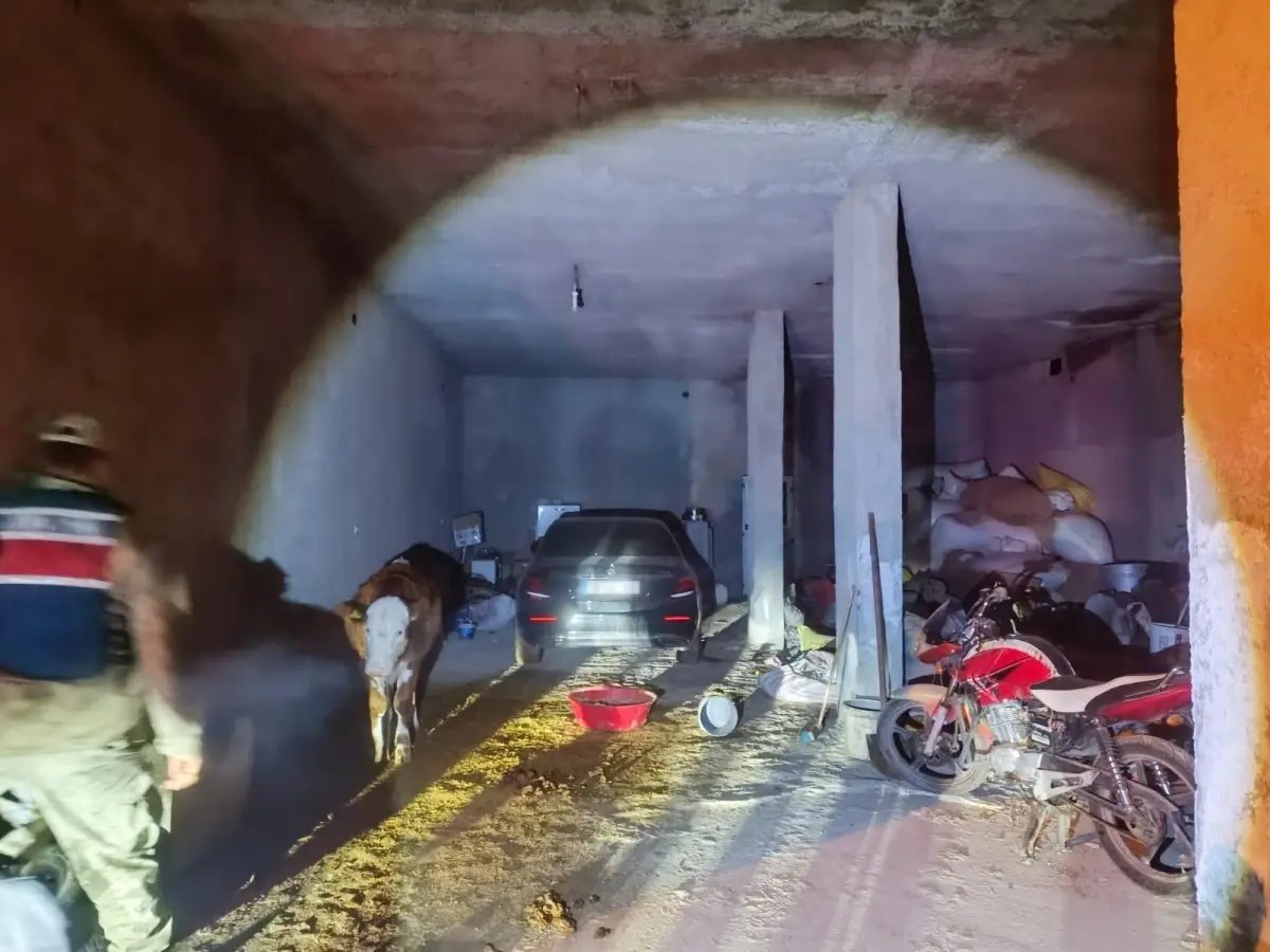 Şanlıurfa'da Çalıntı Otomobil Ahırda Bulundu