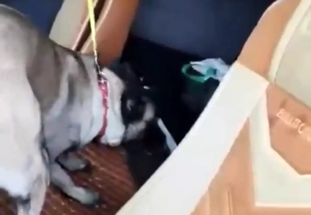 Samsun'da tırda metamfetamin ele geçirildi