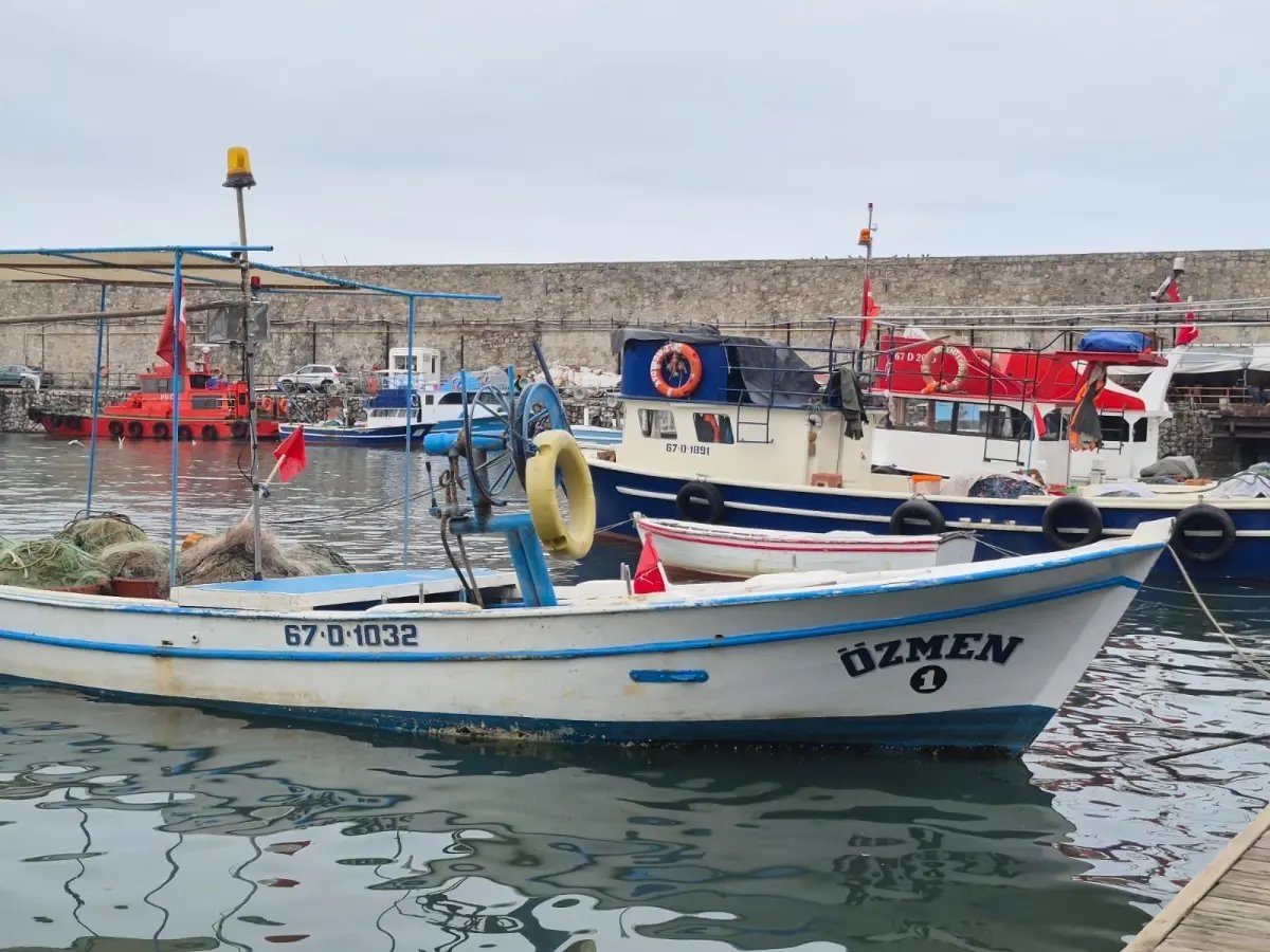 Zonguldak'ta poyraz nedeniyle bazı balıkçılar denize açılamadı