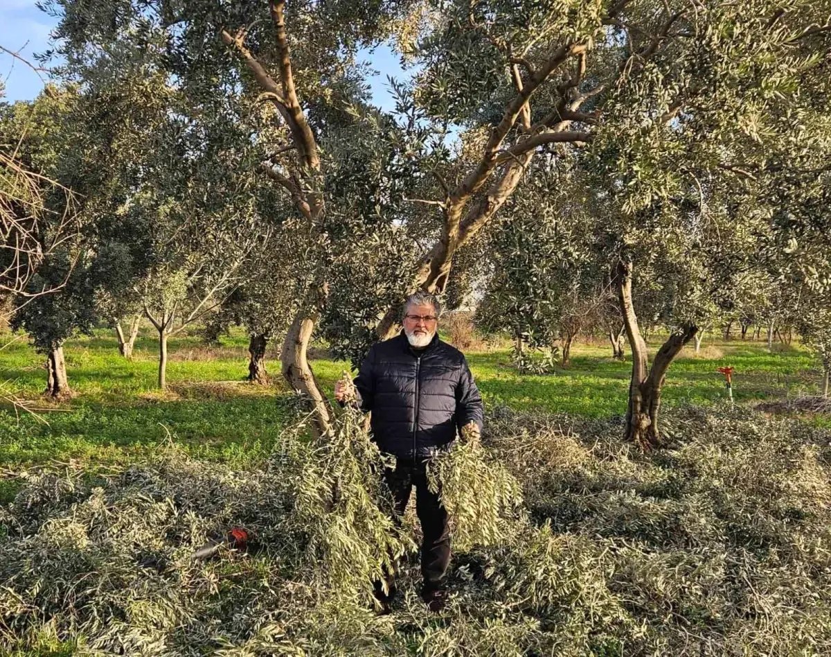 İncir ve Zeytin Bilimsel Araştırmalar Akademisi'nden yeni proje