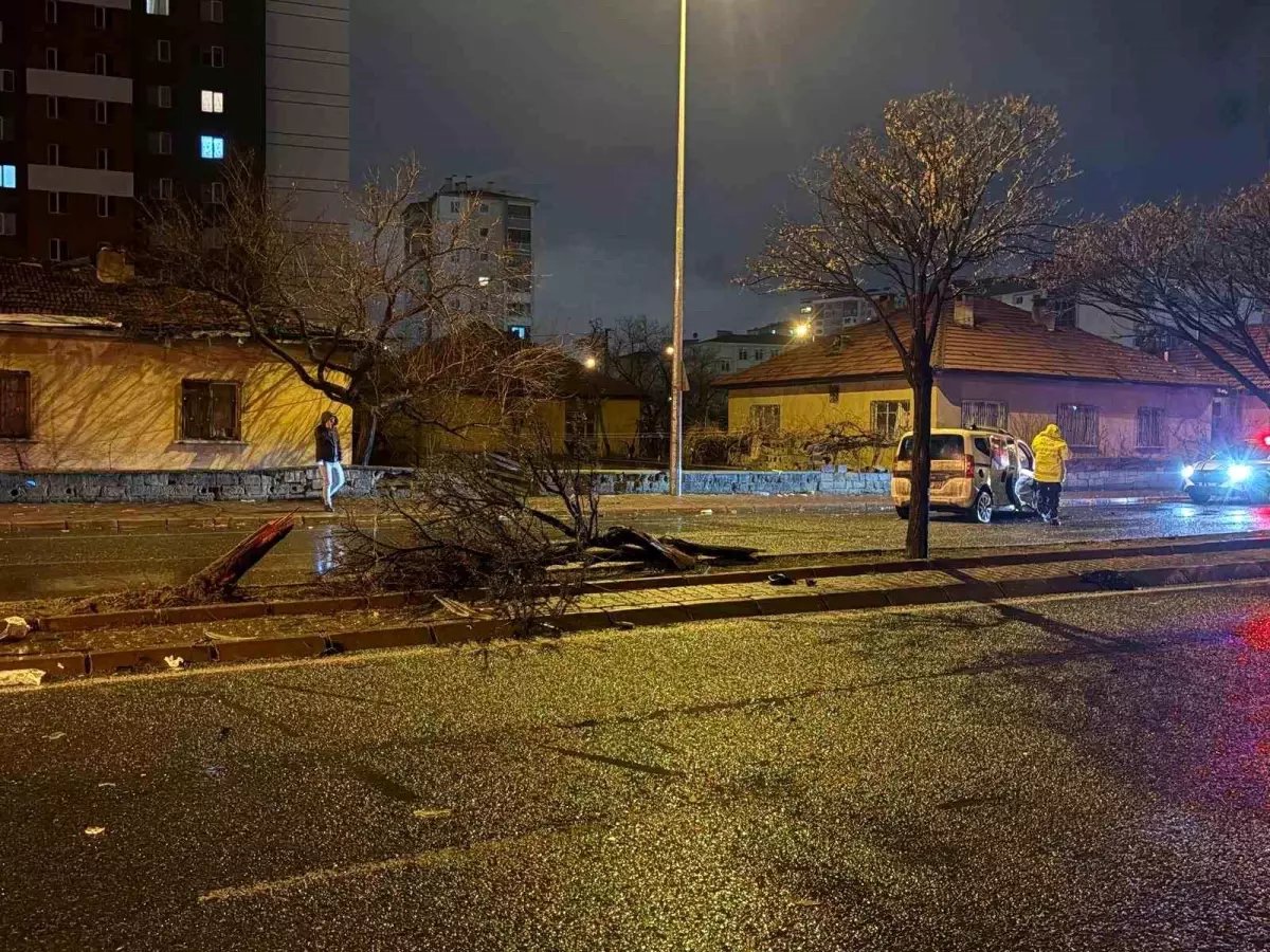 Kaza savrulan otomobil ağacı ikiye böldü: 4 yaralı