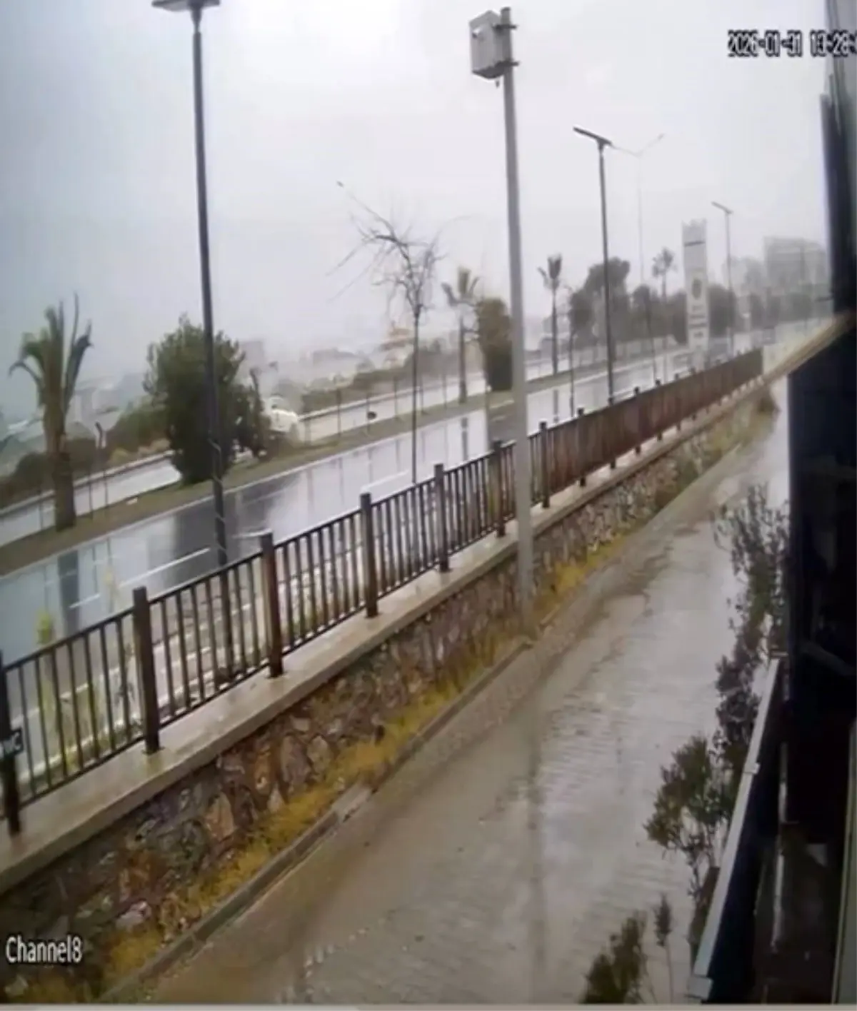 Kontrolden çıkan otomobil refüjdeki ağaca çarpıp takla attı