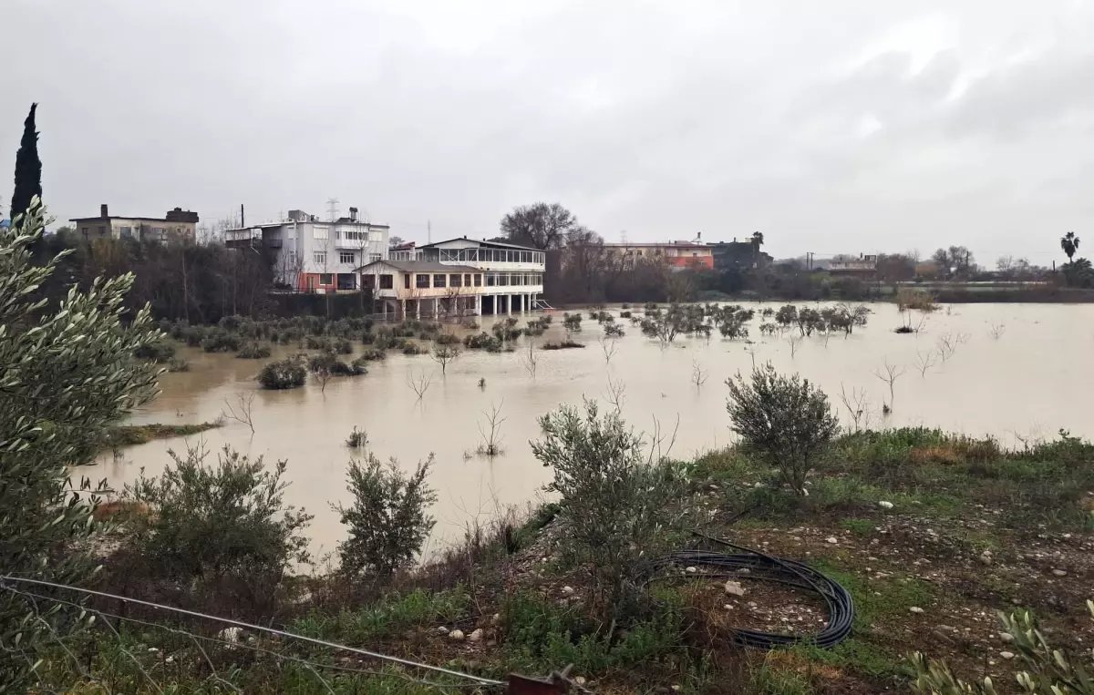 3 gündür etkili olan yağmurlar nedeniyle ırmak taştı, restoranlar ve bahçeleri su bastı