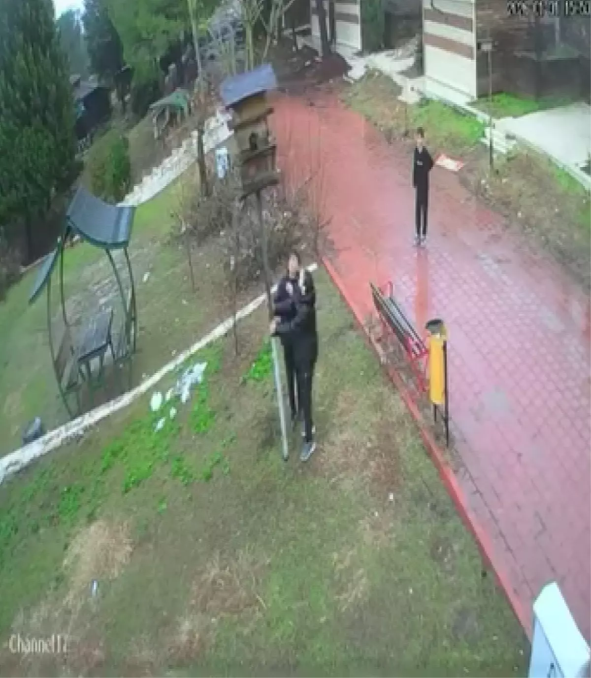 Adana'da çocuklar parktaki kuş yuvasını parçaladı: o anlar kamerada