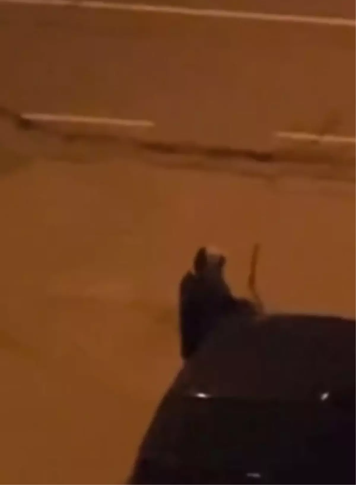 Alkollü olduğu iddia edilen kadın, araçların sileceklerini kırdı