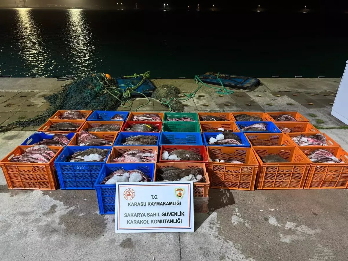 Ülkeye kaçak getirilen 300 kalkan balığı ele geçirildi