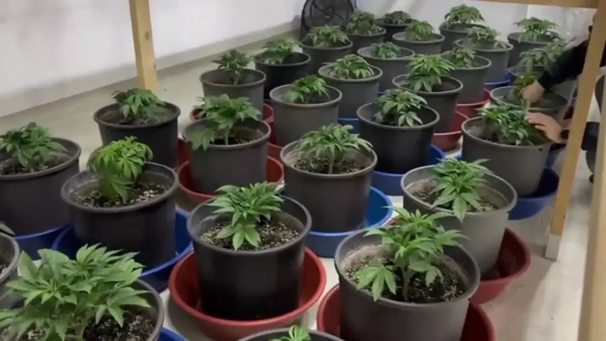 Maltepe'de uyuşturucu ticareti yapan 3 şüpheli yakalandı