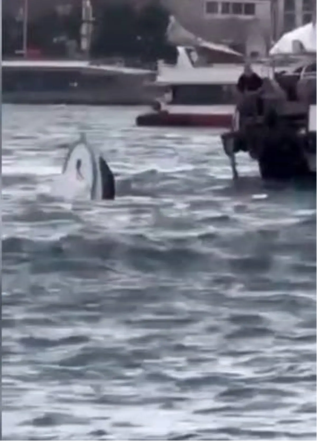 Karaköy'de yolcu vapuru tekneye çarptı; balıkçı denize düştü