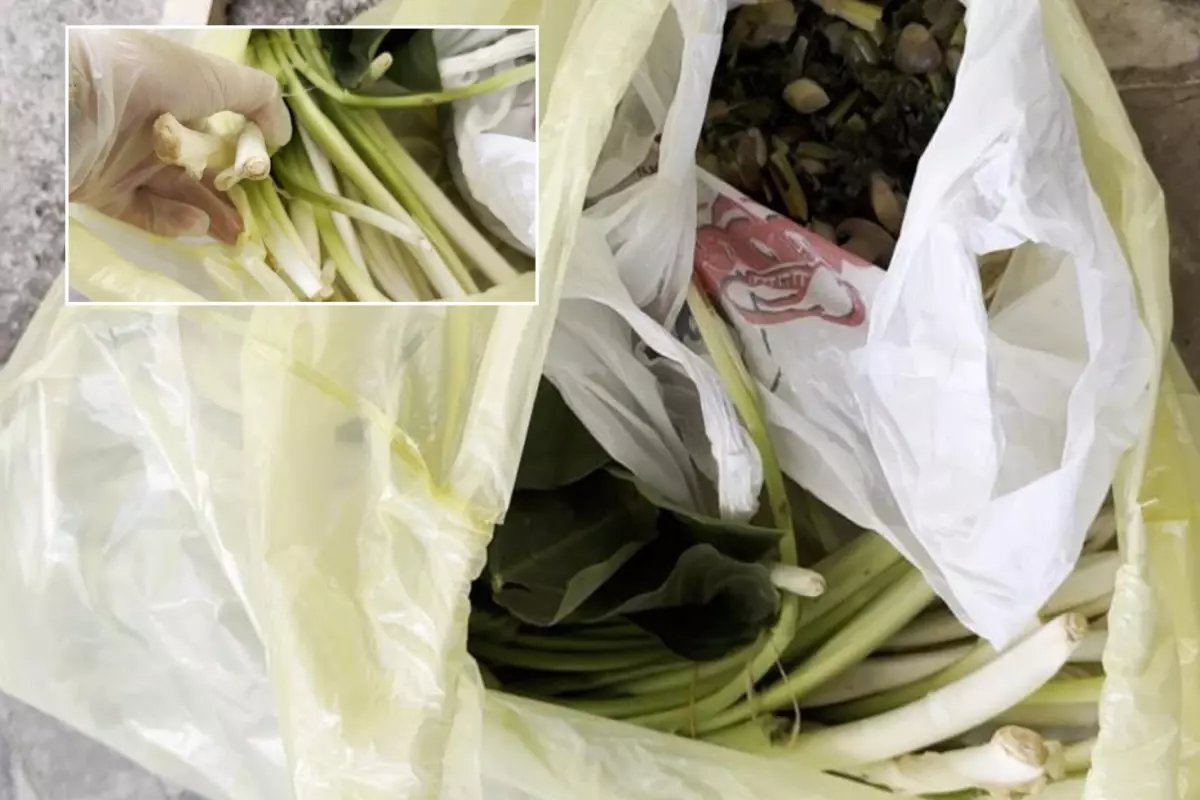 Pazardan aldı, zehir çıktı! Ağzına bir lokma alan doktor fenalaştı