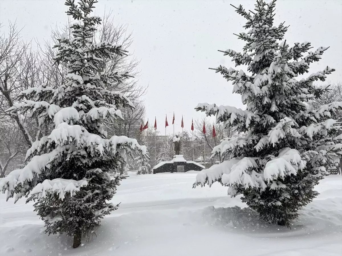 Doğu Anadolu'da karla kaplanan 6 ilde ulaşım güçlükle sağlanıyor