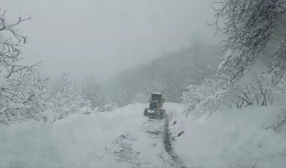 Tokat'ta kar yağışı etkili oldu