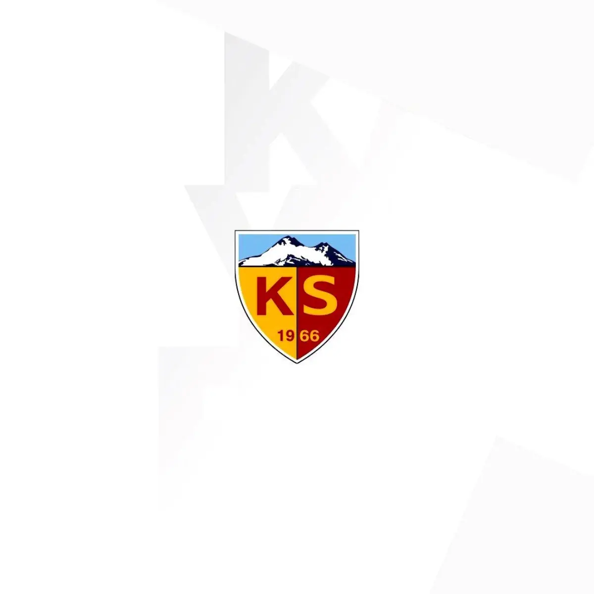 Kayserispor, TFF'ye gidiyor